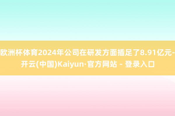 欧洲杯体育2024年公司在研发方面插足了8.91亿元-开云(中国)Kaiyun·官方网站 - 登录入口