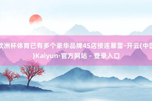 欧洲杯体育已有多个豪华品牌4S店接连暴雷-开云(中国)Kaiyun·官方网站 - 登录入口