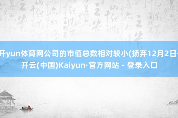 开yun体育网公司的市值总数相对较小(扬弃12月2日-开云(中国)Kaiyun·官方网站 - 登录入口