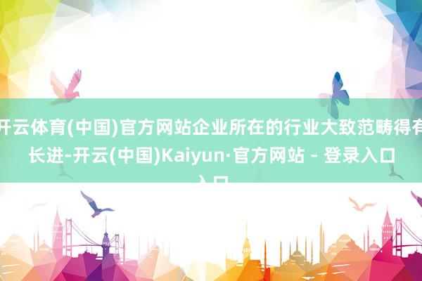 开云体育(中国)官方网站企业所在的行业大致范畴得有长进-开云(中国)Kaiyun·官方网站 - 登录入口