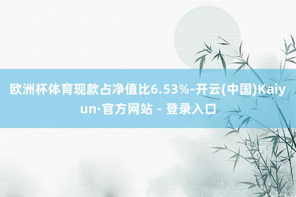 欧洲杯体育现款占净值比6.53%-开云(中国)Kaiyun·官方网站 - 登录入口