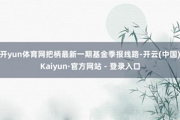 开yun体育网把柄最新一期基金季报线路-开云(中国)Kaiyun·官方网站 - 登录入口