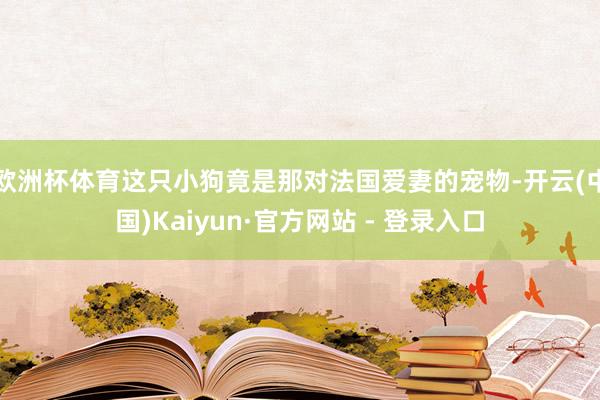 欧洲杯体育这只小狗竟是那对法国爱妻的宠物-开云(中国)Kaiyun·官方网站 - 登录入口