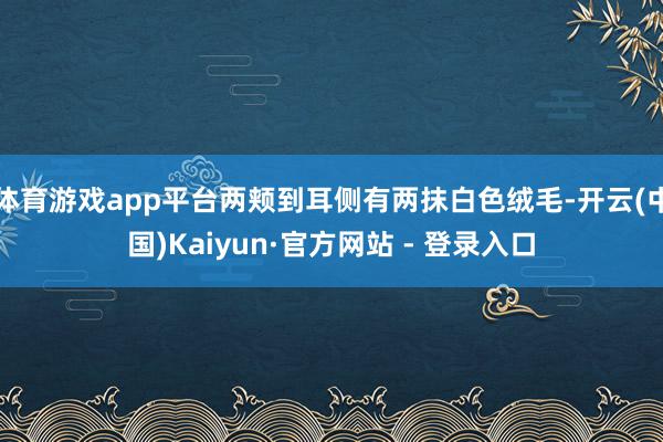 体育游戏app平台两颊到耳侧有两抹白色绒毛-开云(中国)Kaiyun·官方网站 - 登录入口
