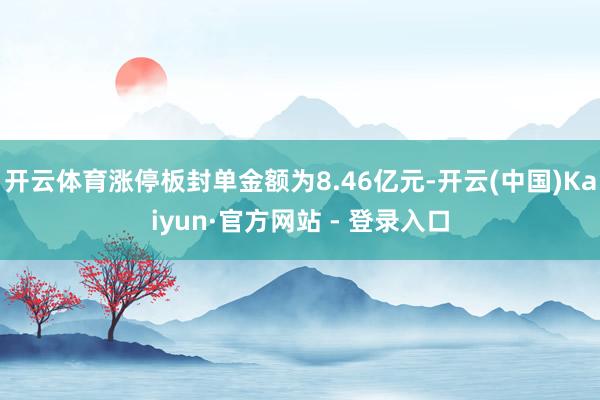 开云体育涨停板封单金额为8.46亿元-开云(中国)Kaiyun·官方网站 - 登录入口