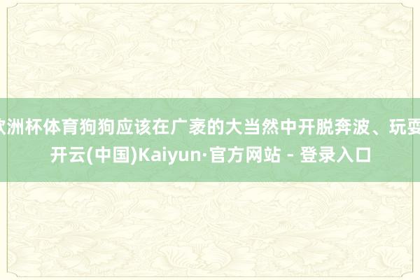 欧洲杯体育狗狗应该在广袤的大当然中开脱奔波、玩耍-开云(中国)Kaiyun·官方网站 - 登录入口